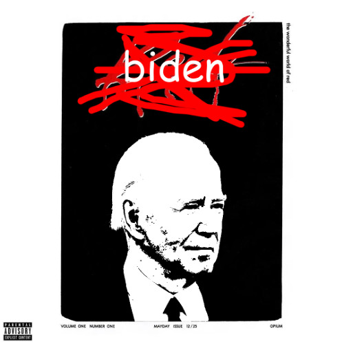 JoeBidenHouse