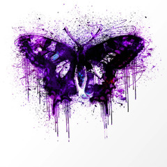 Crzy Butterfly X SuperiorJay