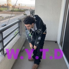 W.Y.T.D