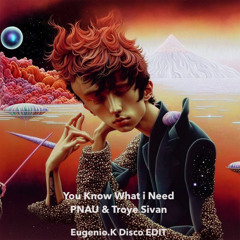 Eugenio.K Feat. PNAU & Troye Sivan You Know What I Need (Eugenio.K Disco EDIT)