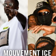 Didi B - Mouvement ICE feat Leto