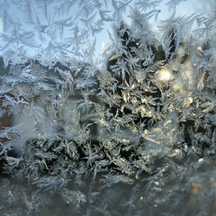 Daniel Mudford & Pete Woodhead-Normality Instrumental