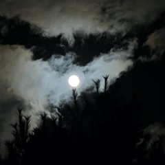 Come Little Children By Jennifer Hill's Vocal Students