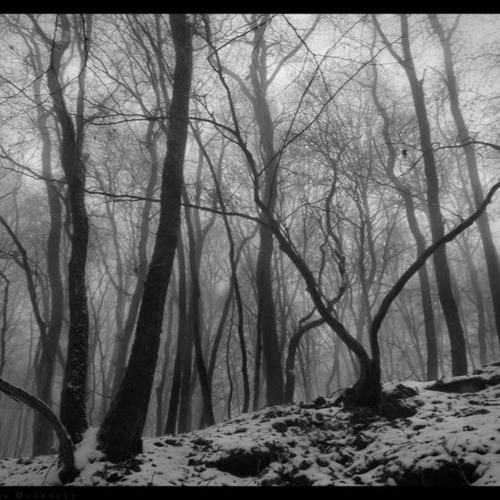 September Tunes 2*20 with Goyxrd, Neimxn