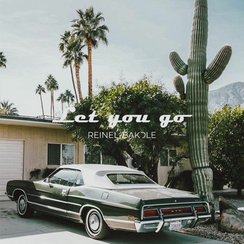 LET YOU GO