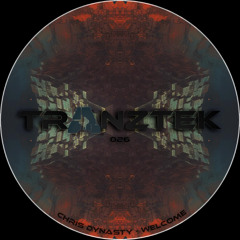 Chris Dynasty - Welcome(Original Mix)