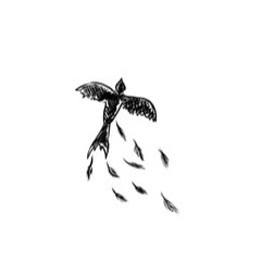 Loosing Feathers