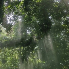 Запах дыма сигарет