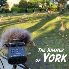 约克之夏 | The Summer of York