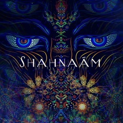 Shahnaàm  - Psytrance Peak Time Mix 2023