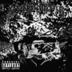 DJ PUSSY X D411 - MISERICORDIA