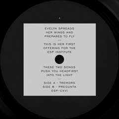 [ESP116] EVELYN - Tremors b/w Pregunta - 12" Vinyl/Digital