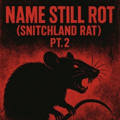 NAME STILL ROT (Snitchland rat) Pt.2
