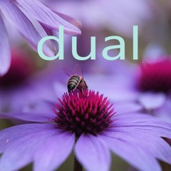 Dual