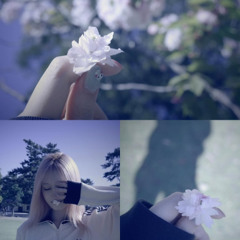 we not cool ft neverlasts