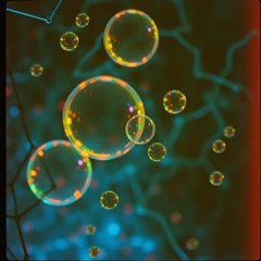 Beyond the Bubble