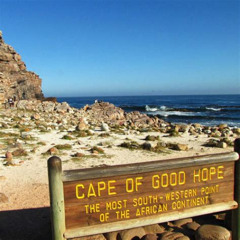 Best Cape Of Good Hopecape Point Penguins Private Tour From Town Tours Review