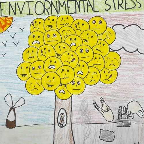 Environmental Stress Recording (1)