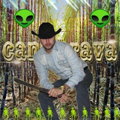 CANA BRAVA
