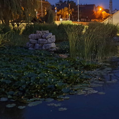 Lake