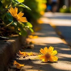 JHORA PHOOL 🌼