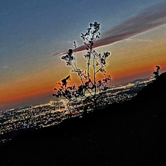 rest easy $uede (prod. palaze)