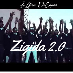 Zigida 2.0 (seben)