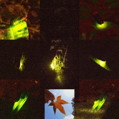 Firefly Effects