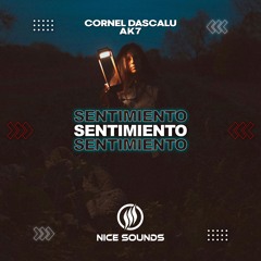Cornel Dascalu & AK7 - Sentimiento