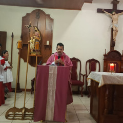 Homilia del III Domingo de Adviento