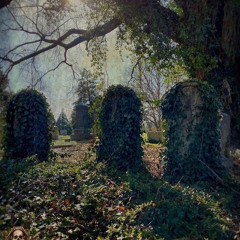 I swear…to you .m4a