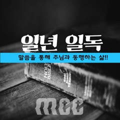 127 성경 1년1독 역대상 22 - 24장