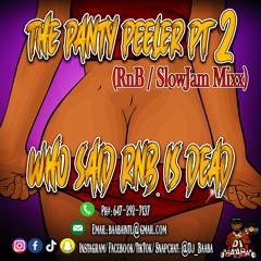 Panty Peeler PT.2 "Who Say's RnB Is Dead"