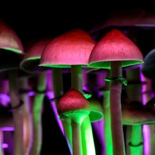 Dark Progressive #2