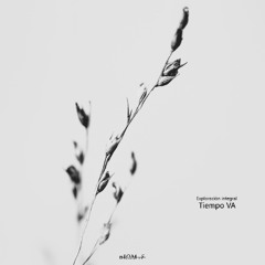 Tiempo VA
