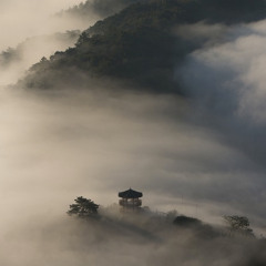 Misty Hills