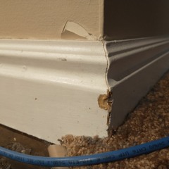 bronze bilge