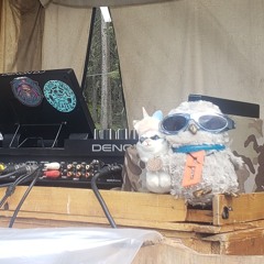 Live @ Ender bender 2025 P2