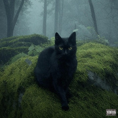 восход. (тгк: @real92flowers)