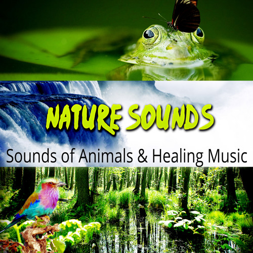 Stream Relieve Stress (Ocean Waves) by Sound Effects Zone Listen