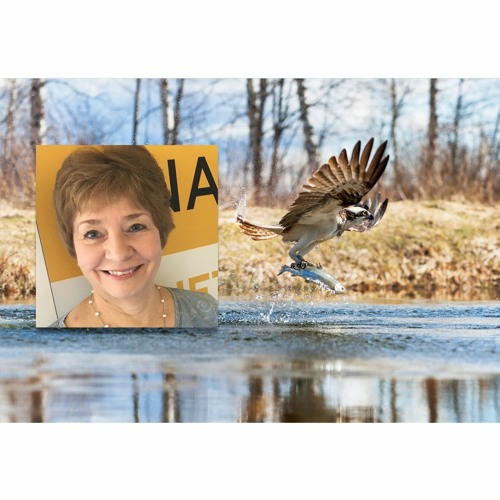 Janet Hess, Writing Wildlife Stories for PBS NATURE