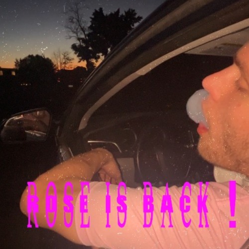 Rose is back !