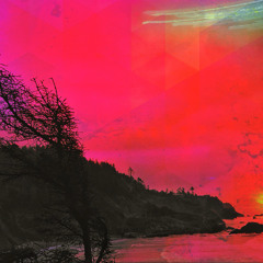 VAGRANTS OF FUTURE