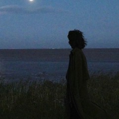 万物都是自由诗