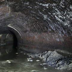 Down In The Sewer (cover version of The Stranglers classic)