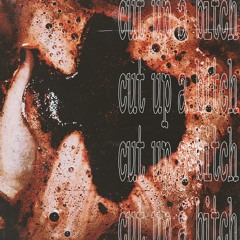 CUT UP A BITCH (prod. gunso)