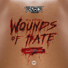 Wounds of Hate (Triamer & Nagato Remix)