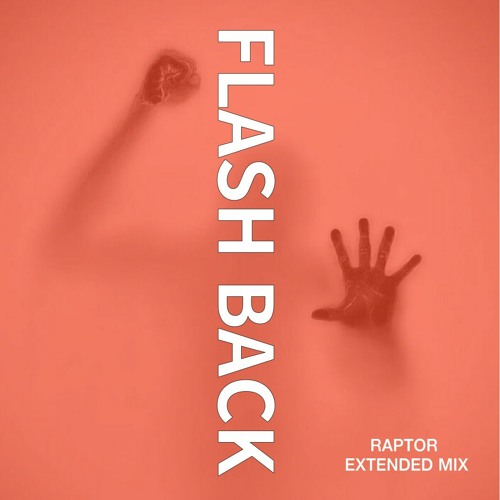 RAPTOR - Flash Back(Extended Mix)