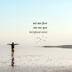 Set Me Free - Ste Mc Gee (Original Mix)
