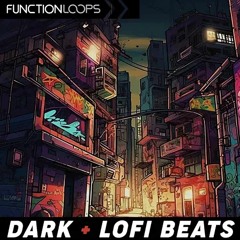Function Loops - Dark & Lofi Beats